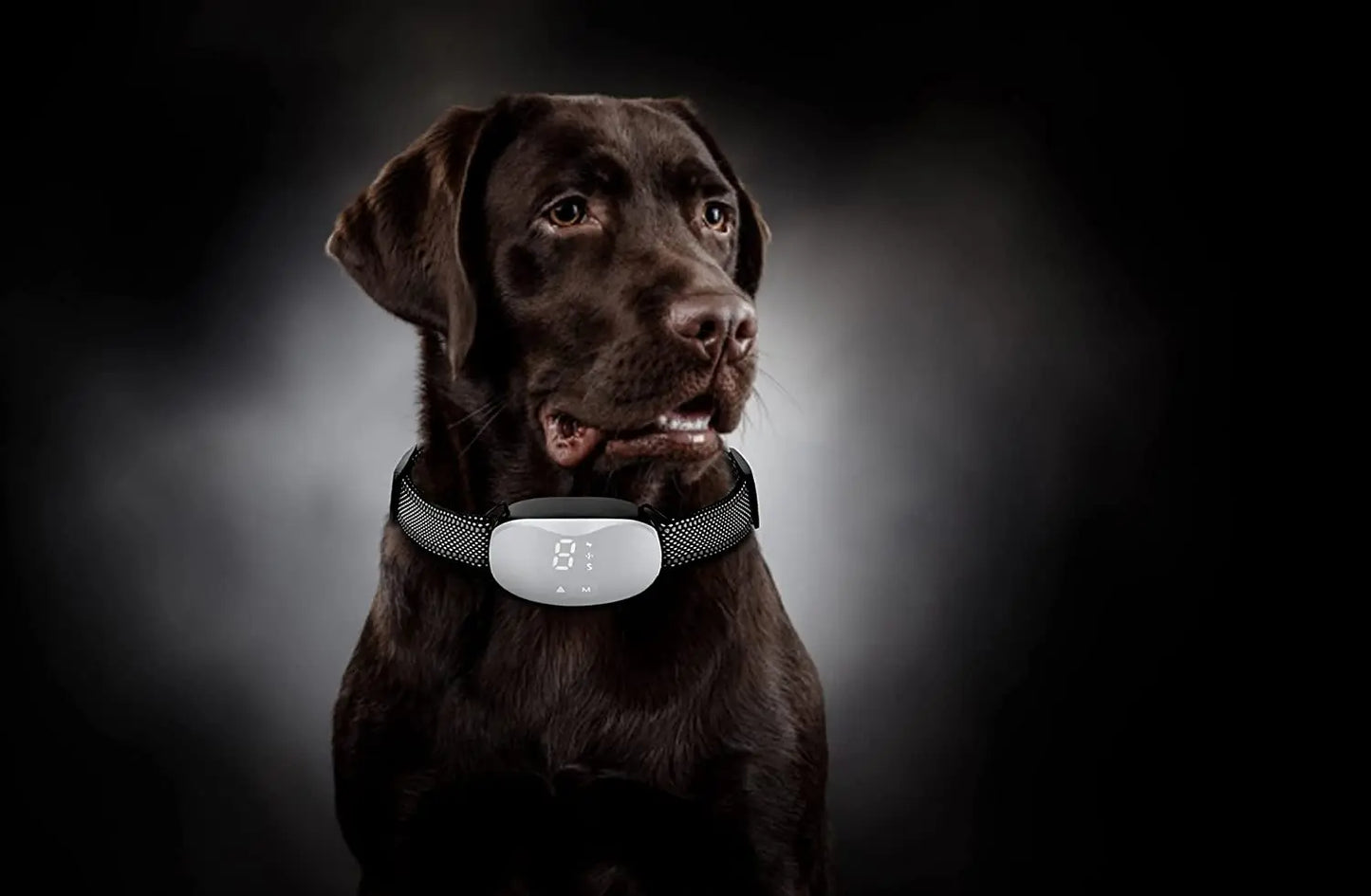 Anti bark dog collar Electric shock Vibration sound with LED