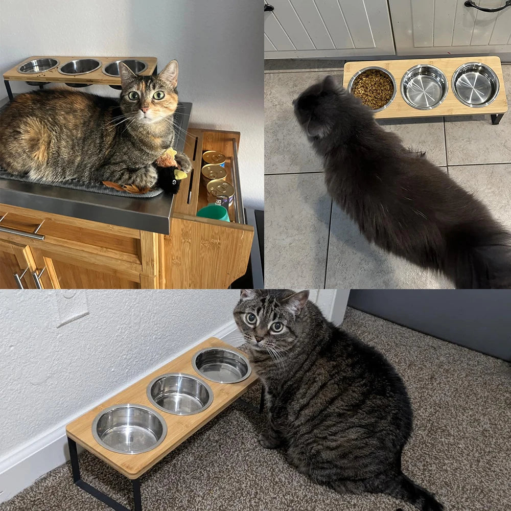 Elevated Cat Bowls – 3 Stainless Steel Dishes with 15° Tilt, Anti‑Vomiting Raised Feeder for Cats & Small Pets