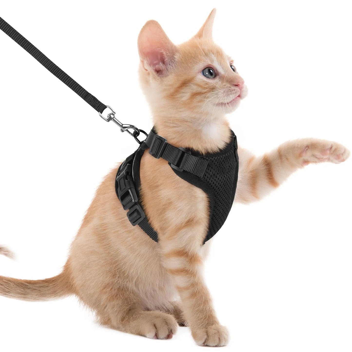 Adjustable Reflective Cat Harness & Leash Set – Escape‑Proof Mesh Vest for Cats & Small Dogs