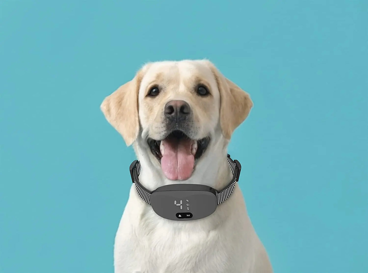 Anti bark dog collar Electric shock Vibration sound with LED