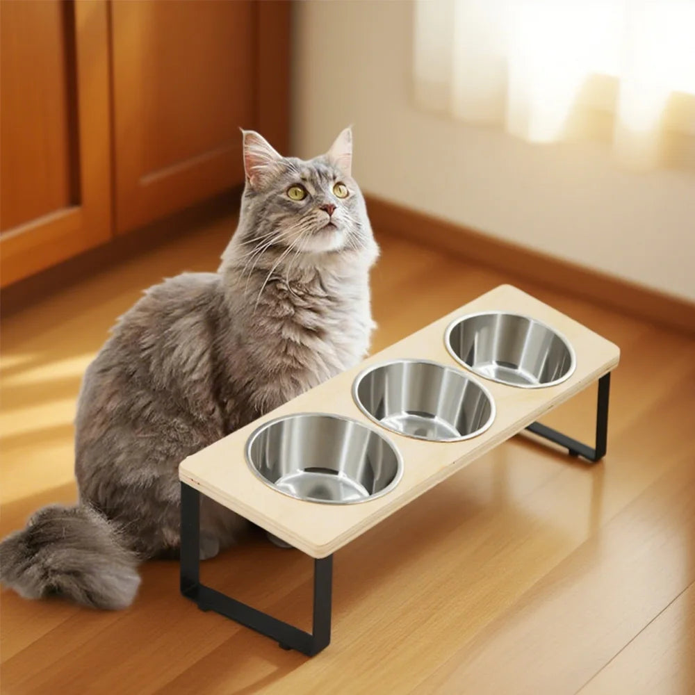 Elevated Cat Bowls – 3 Stainless Steel Dishes with 15° Tilt, Anti‑Vomiting Raised Feeder for Cats & Small Pets