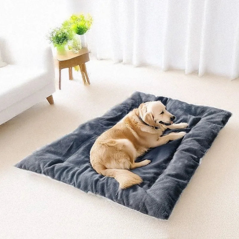Extra Large Plush Dog Bed Sofa Super Soft Thickened Polyester Pet Mat Crate Bed for Small Medium Large Dogs Grey Solid 120x60cm
