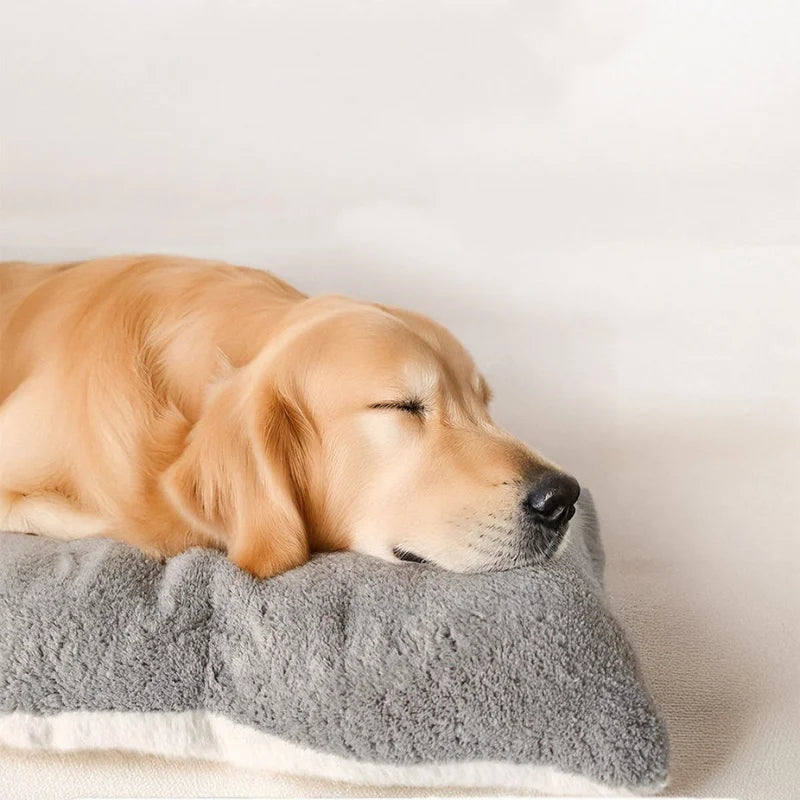 Extra Large Plush Dog Bed Sofa Super Soft Thickened Polyester Pet Mat Crate Bed for Small Medium Large Dogs Grey Solid 120x60cm
