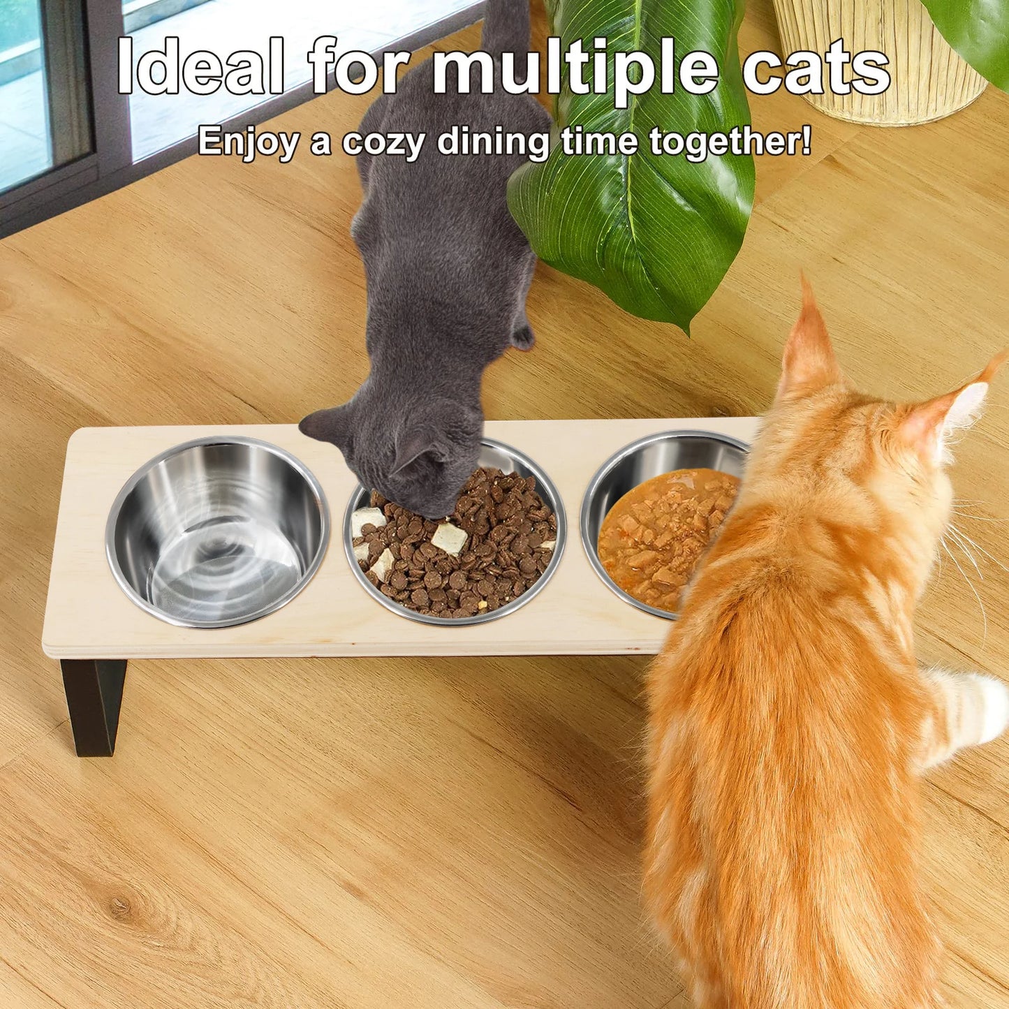 Elevated Cat Bowls – 3 Stainless Steel Dishes with 15° Tilt, Anti‑Vomiting Raised Feeder for Cats & Small Pets