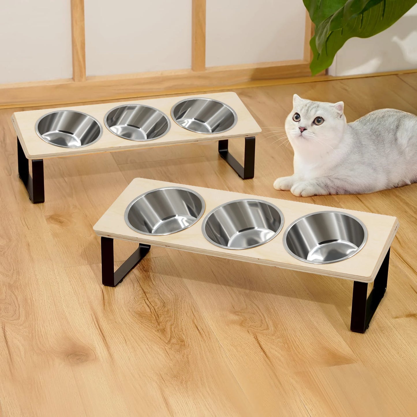 Elevated Cat Bowls – 3 Stainless Steel Dishes with 15° Tilt, Anti‑Vomiting Raised Feeder for Cats & Small Pets