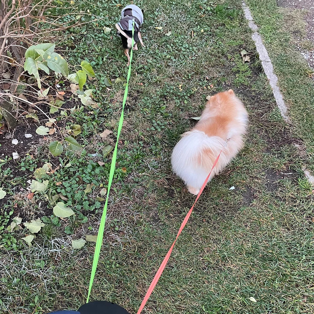 Retractable Dual‑End Dog Leash – 3m Lead with LED Light & Waste Bag Holder, 360° Tangle‑Free
