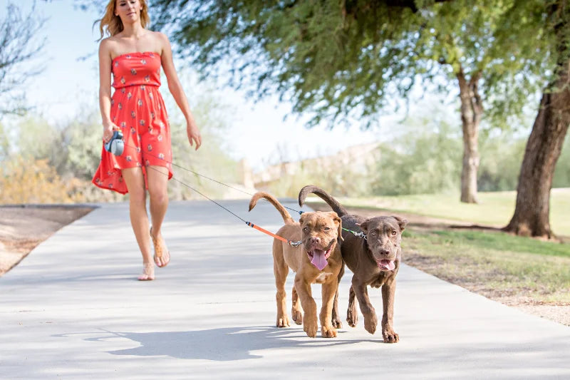 Retractable Dual‑End Dog Leash – 3m Lead with LED Light & Waste Bag Holder, 360° Tangle‑Free