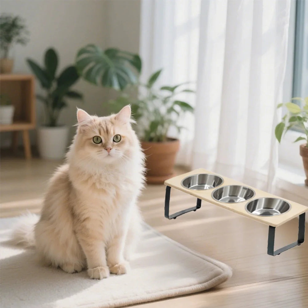 Elevated Cat Bowls – 3 Stainless Steel Dishes with 15° Tilt, Anti‑Vomiting Raised Feeder for Cats & Small Pets