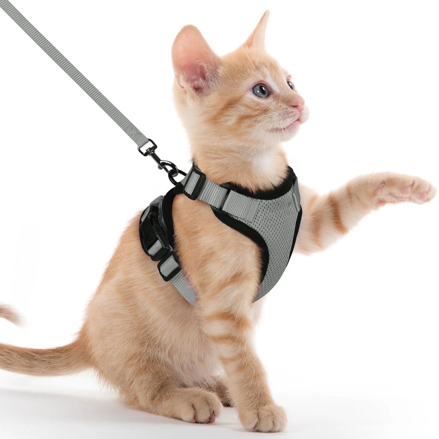 Adjustable Reflective Cat Harness & Leash Set – Escape‑Proof Mesh Vest for Cats & Small Dogs